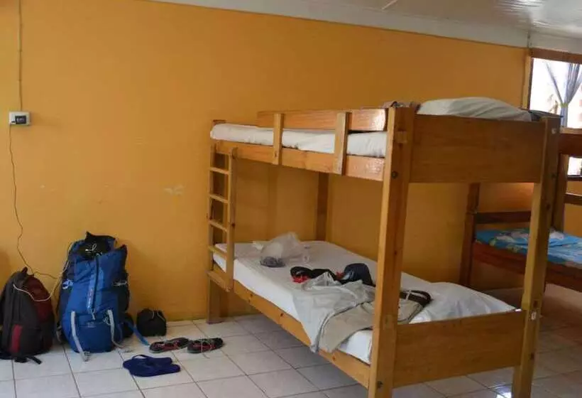 ルームシェアのワンベッド, Ratu Kini Backpackers & Dive Resort