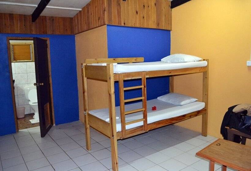 Кровать в Общей Комнате, Ratu Kini Backpackers & Dive Resort