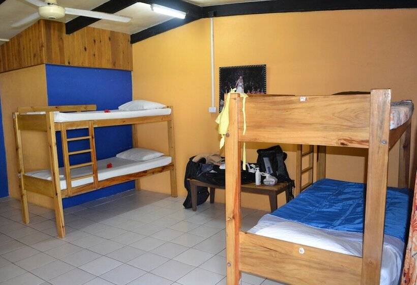 Кровать в Общей Комнате, Ratu Kini Backpackers & Dive Resort