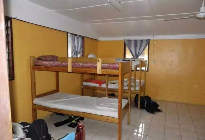 ルームシェアのワンベッド, Ratu Kini Backpackers & Dive Resort