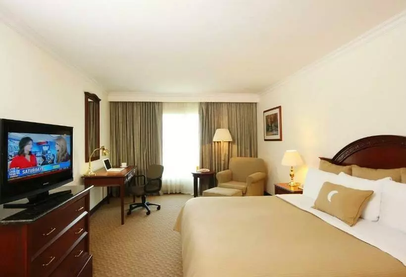 اتاق سوپریور با تخت بزرگ, Fiesta Inn Express Nuevo Laredo