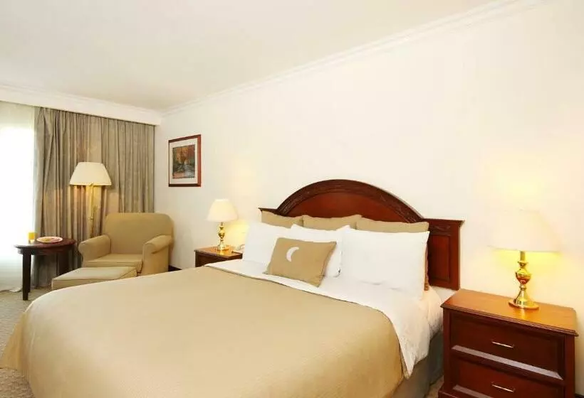 اتاق سوپریور با تخت بزرگ, Fiesta Inn Express Nuevo Laredo