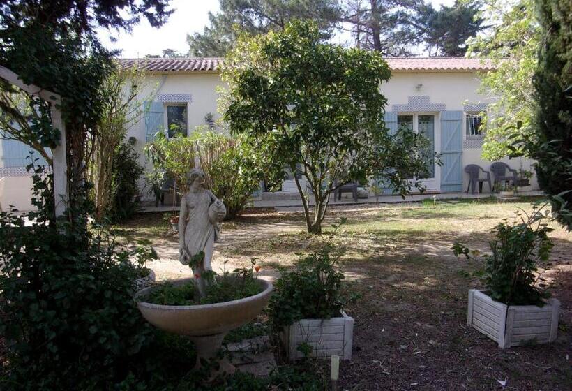 スタンダードルーム, Mas Des Pins