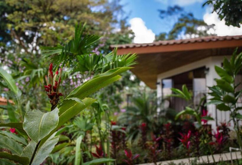 بنجلو ديلوكس, Miradas Arenal Hotel & Hotsprings