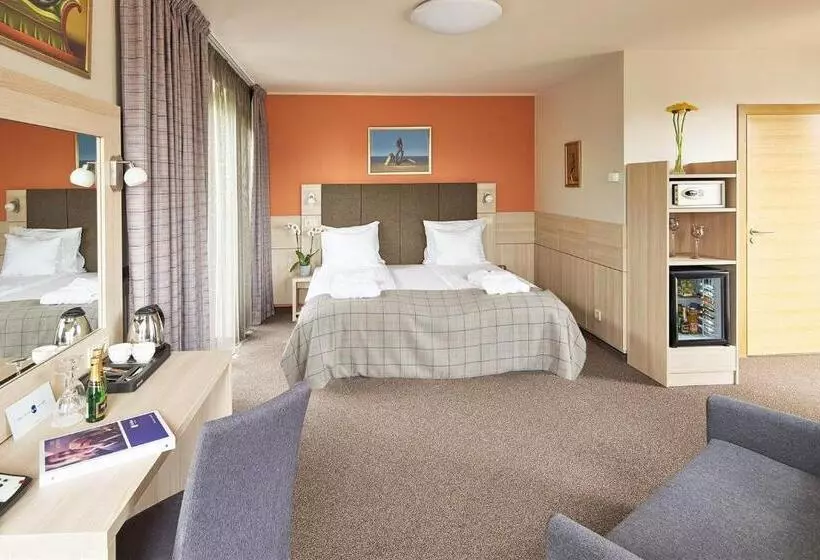 اتاق سوپریور, Wellton Riga Hotel & Spa