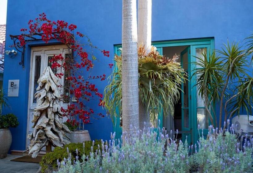 套房, Bondi Beach House
