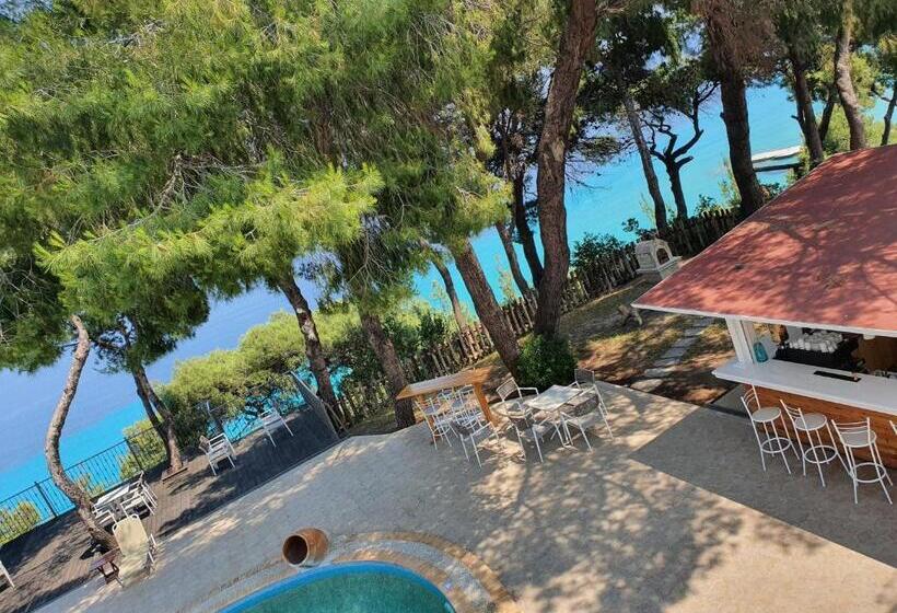 דירת שני חדרים, Evripidis