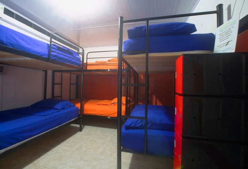 מיטה בחדר משותף, Posada Nativa Lizard House