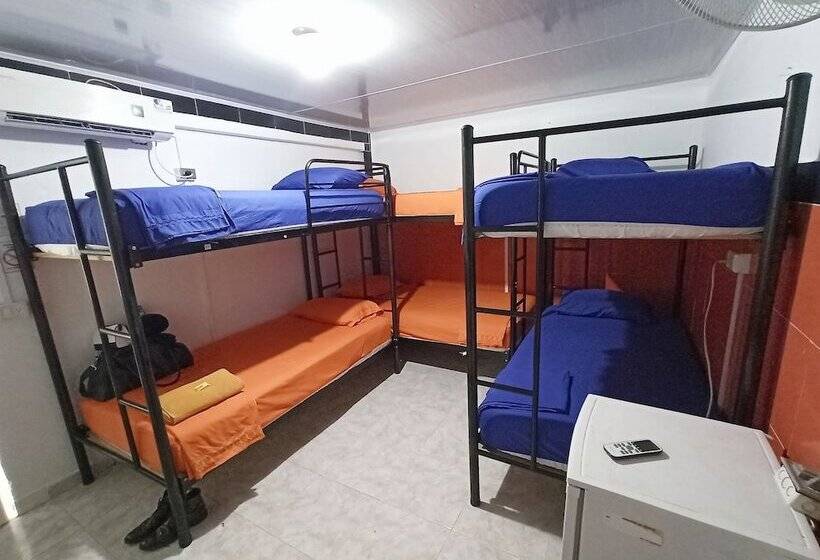 מיטה בחדר משותף, Posada Nativa Lizard House