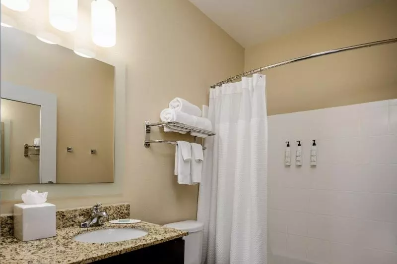 キングサイドベッドのスタンダードワンルーム, Towneplace Suites By Marriott Houston Galleria Area