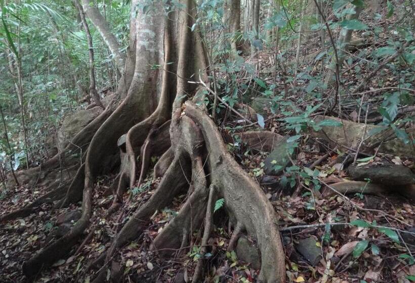 带花园景观的标准洋房, Treetops Montville
