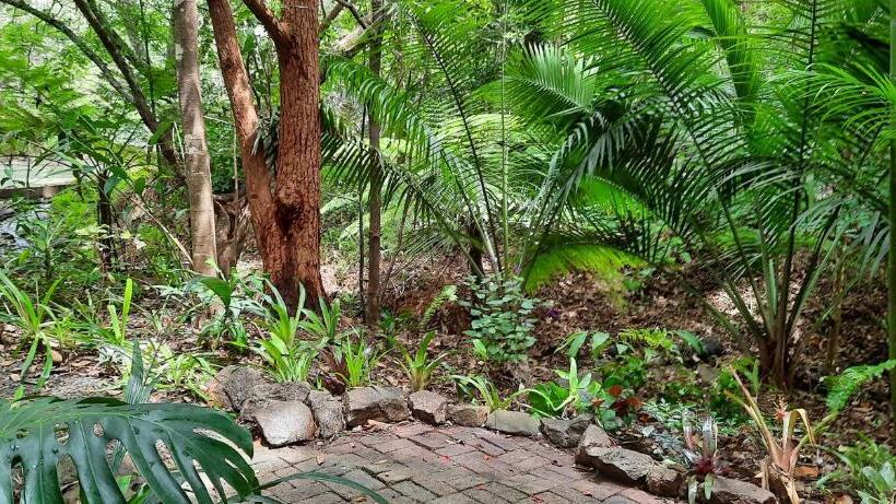 标准平房, Treetops Montville