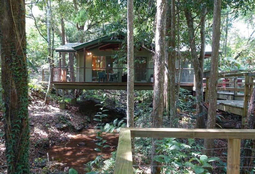 带花园景观的标准工作室, Treetops Montville