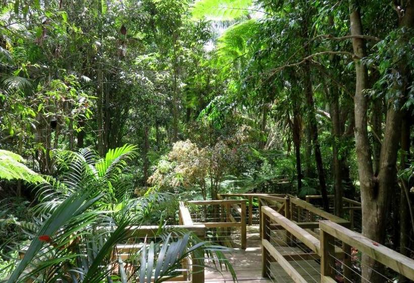 Студио Стандарт Вид на Сад, Treetops Montville