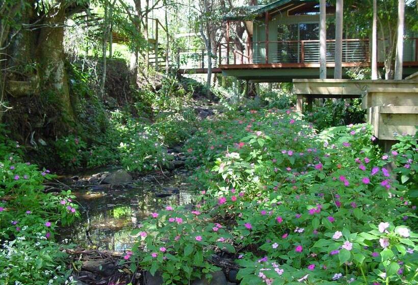 带花园景观的标准工作室, Treetops Montville