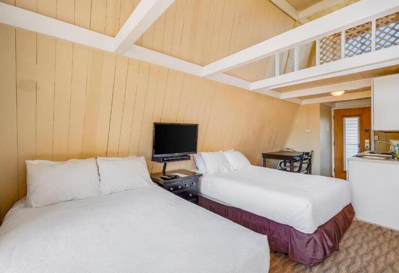 استودیوی استاندارد, Molokai