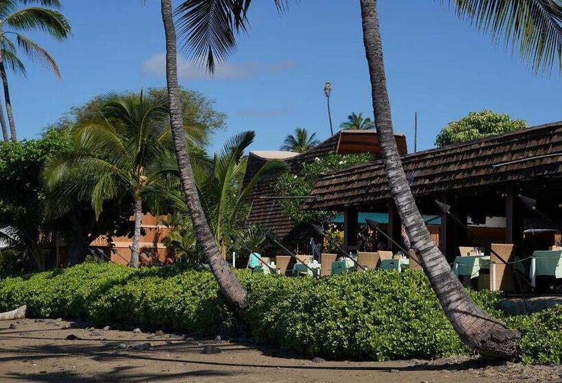 Студия Стандарт, Molokai