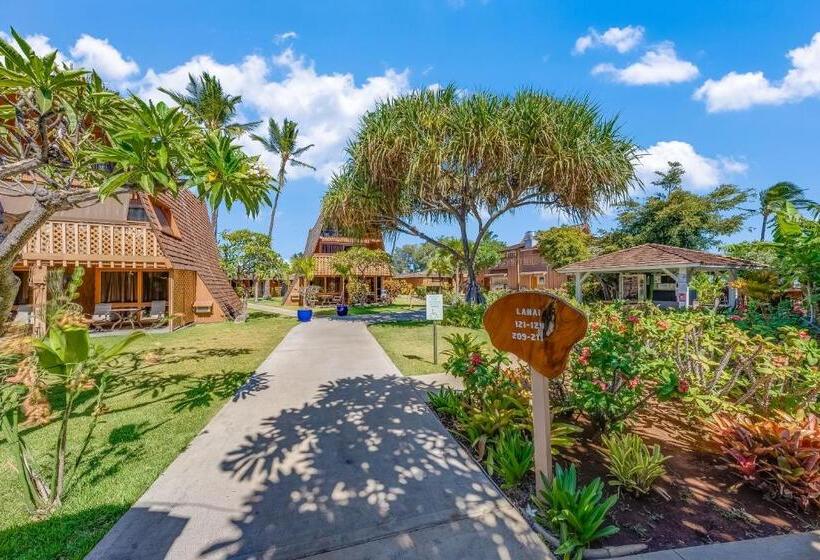 استودیوی استاندارد, Molokai