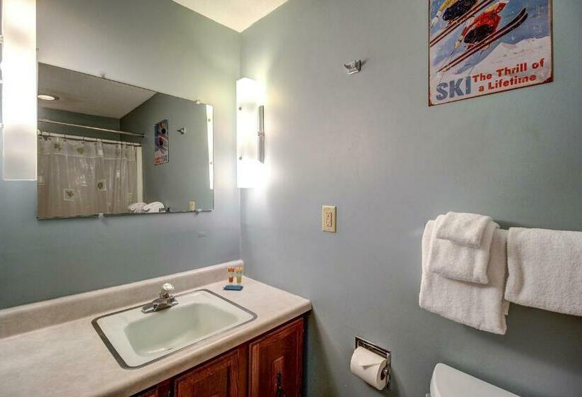 침실 1개 아파트, Okemo Trailside 08e