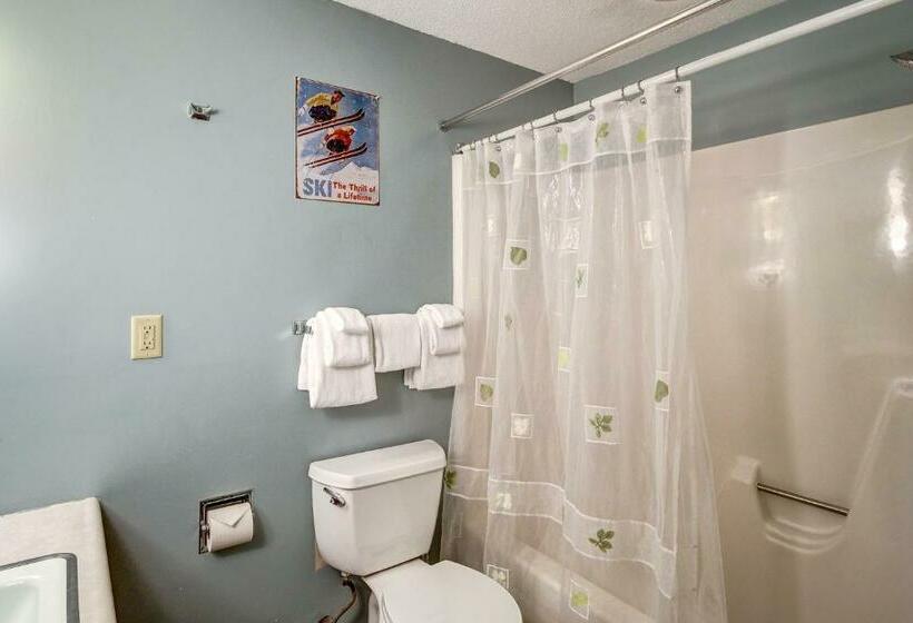 침실 1개 아파트, Okemo Trailside 08e