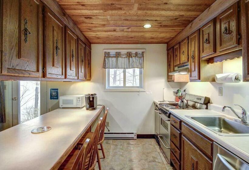 침실 1개 아파트, Okemo Trailside 08e