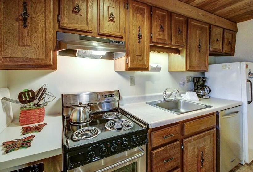 침실 1개 아파트, Okemo Trailside 08e