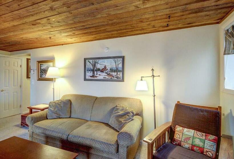 침실 1개 아파트, Okemo Trailside 08e