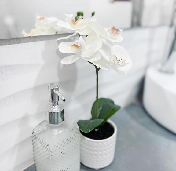 סוויטה דלוקס, Comunidad Calle 13 Hotel Boutique