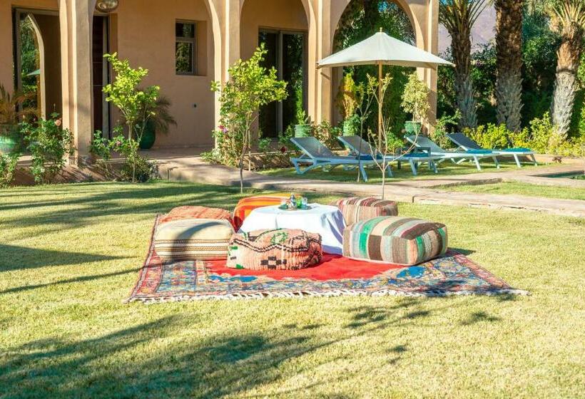 패밀리 방갈로, Dar Hnini