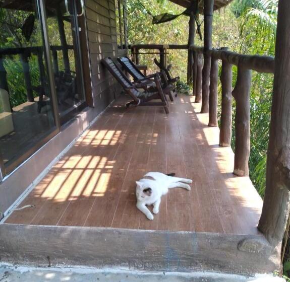 Полулюкс с Балконом, Tree House Bungalows Koh Tao