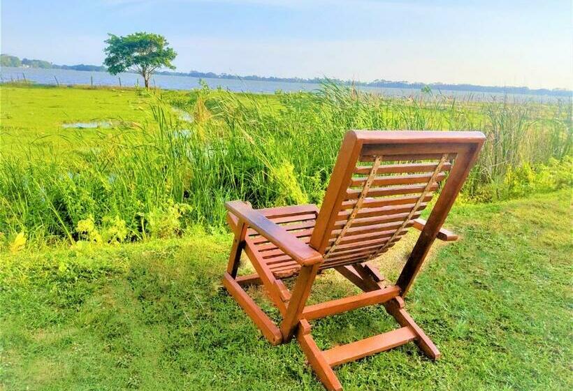 豪华湖景房, Lake View Cottage