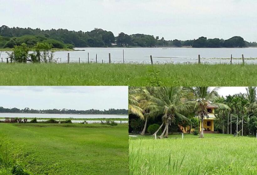 标准间带湖景, Lake View Cottage