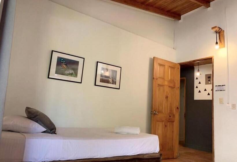 ルームシェアのワンベッド, Point Break Santa Teresa