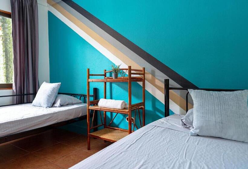 ２ベッドルームアパートメント, Point Break Santa Teresa