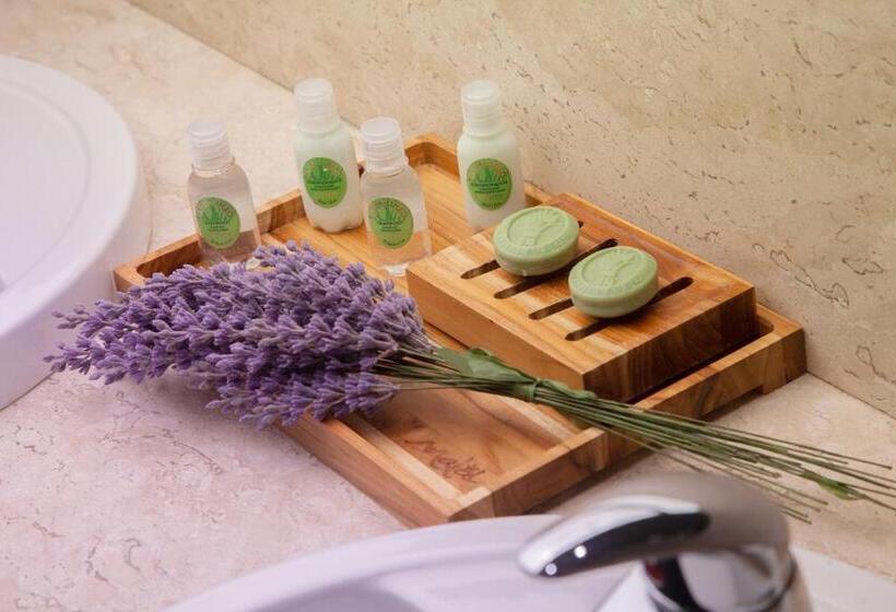 家庭洋房, Malai Manso Resort Yatch Convention & Spa