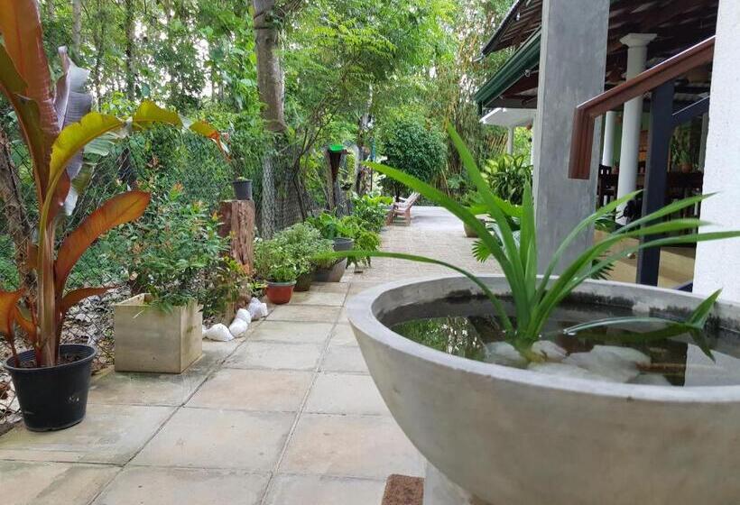 Номер Стандарт, Nature House