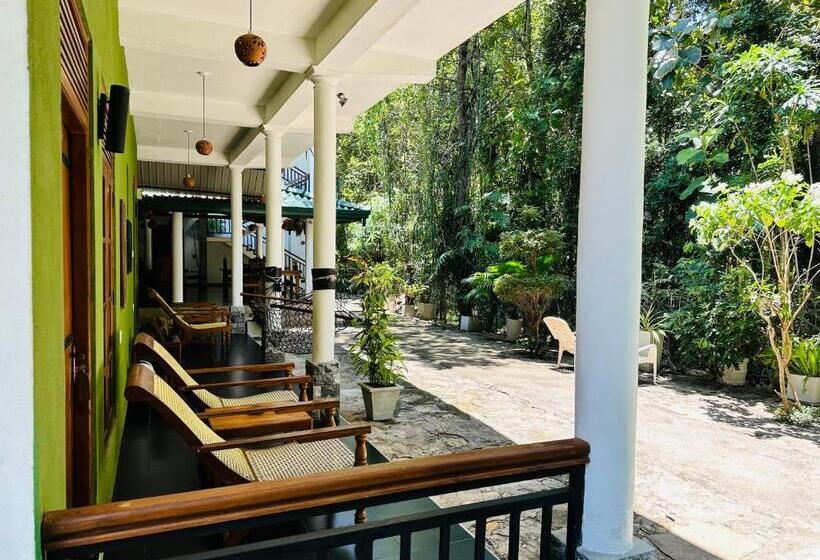 اتاق استاندارد, Nature House