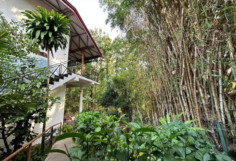 Номер Superior, Nature House