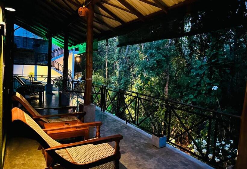 اتاق سوپریور, Nature House
