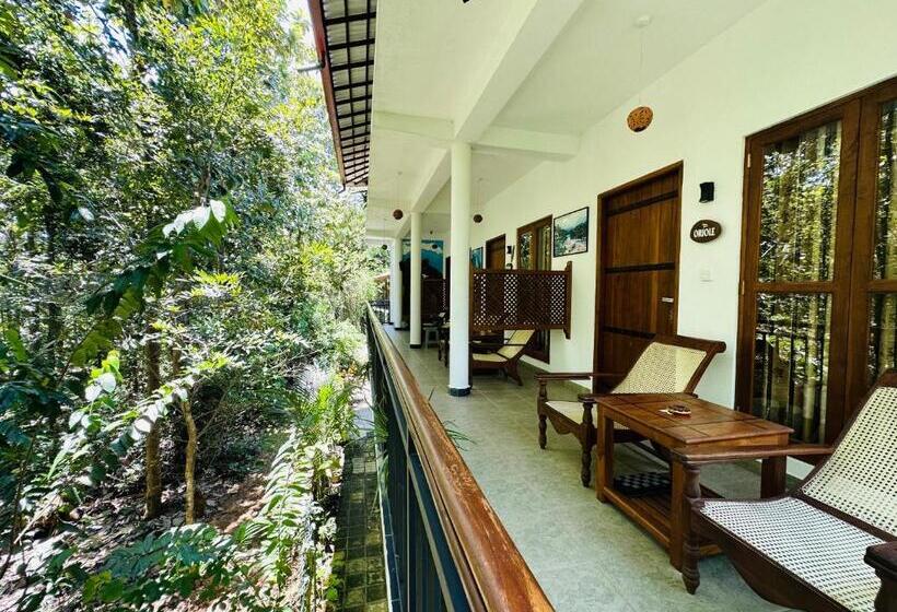 Трехместный Номер Deluxe, Nature House