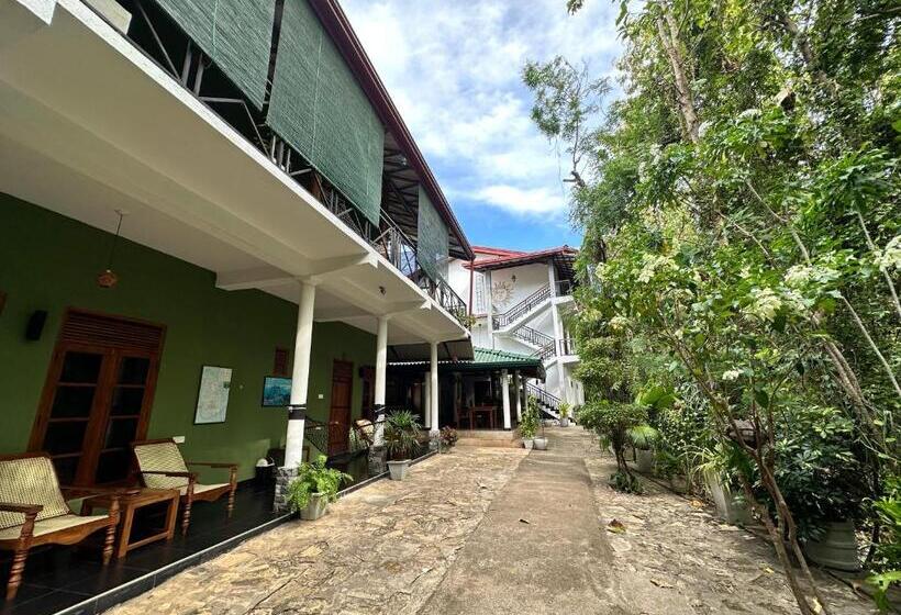 اتاق لوکس, Nature House