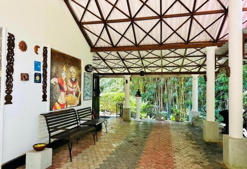 Номер Deluxe, Nature House