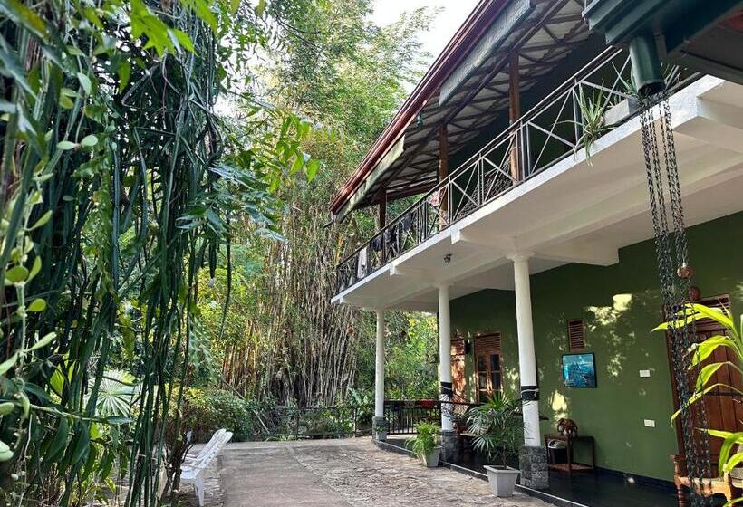 Номер Стандарт, Nature House