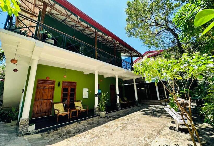 Номер Стандарт, Nature House