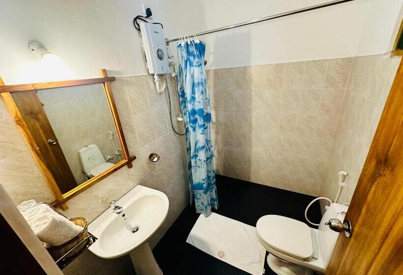 Номер Стандарт, Nature House