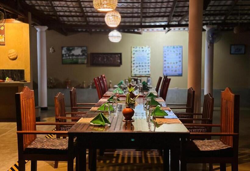 اتاق استاندارد, Nature House