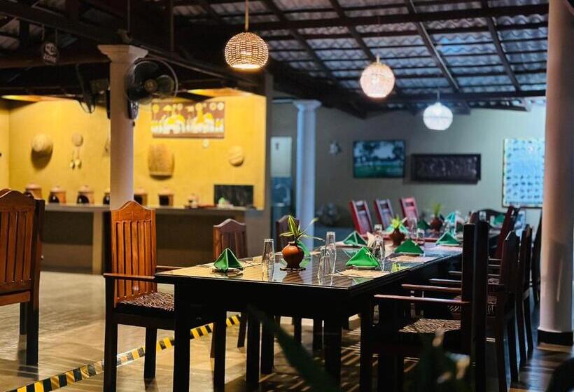 Номер Стандарт, Nature House