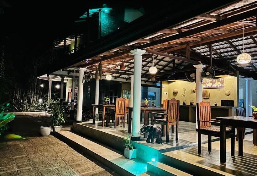 Номер Superior, Nature House