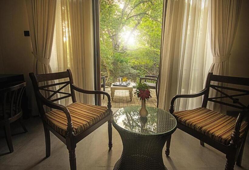 디럭스 룸, Arika Villa