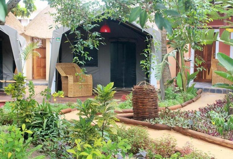 Comfort Tent, Devocean Eco Adventure Lodge